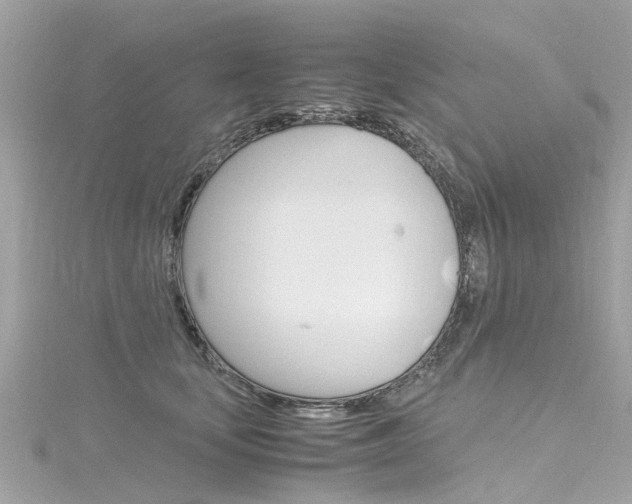 X0000116330659200912011006