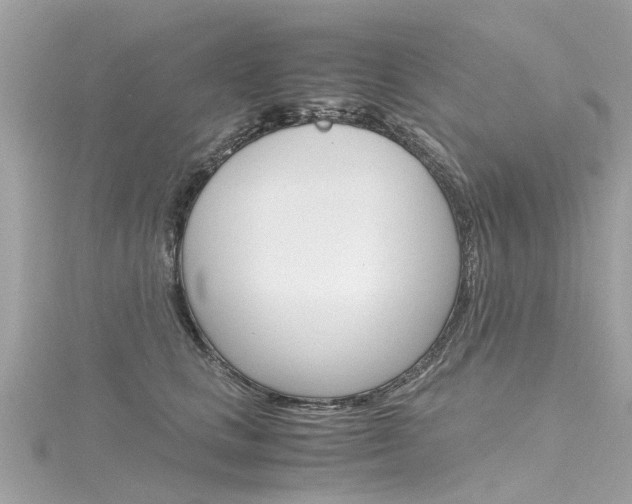 X0000116330661200912011006