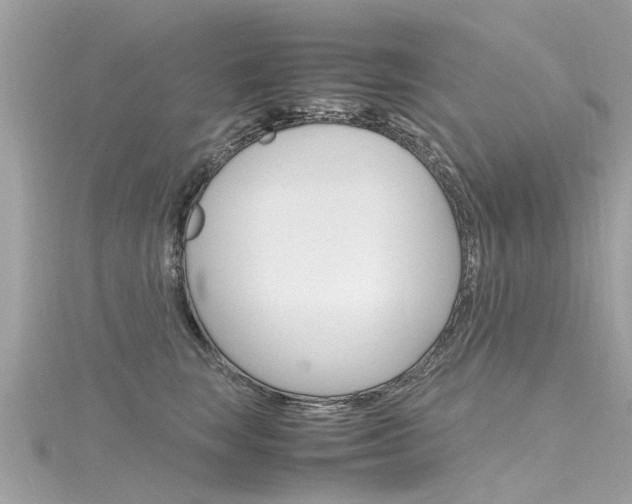 X0000116330663200912011006
