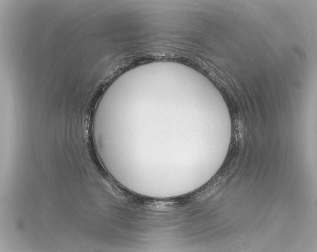 X0000116330664200912011006
