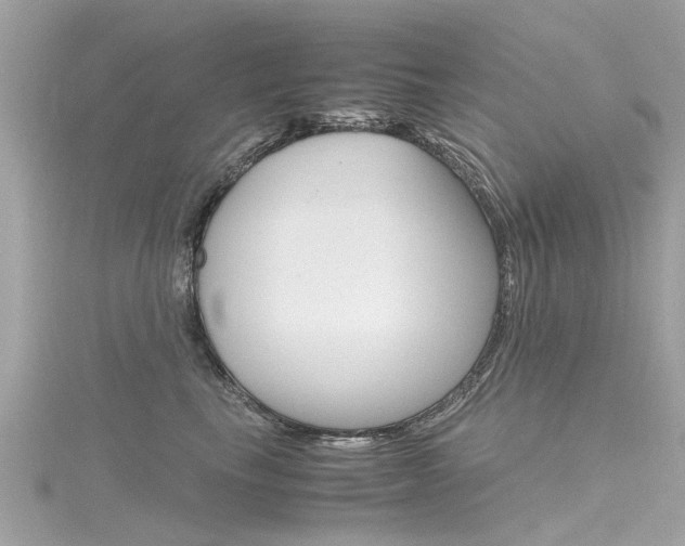X0000116330665200912011006