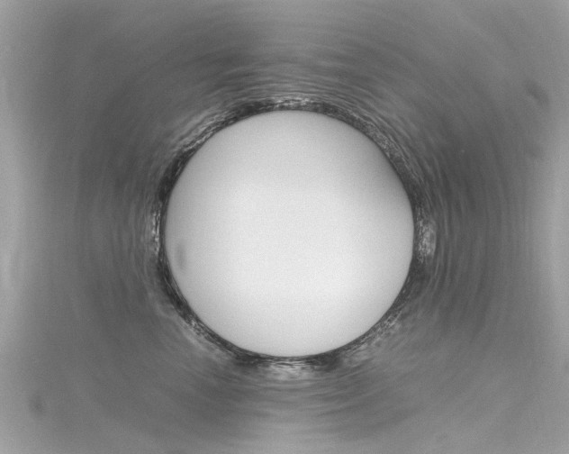 X0000116330666200912011006