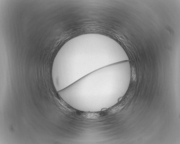 X0000116330670200912011006