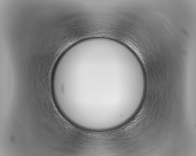 X0000116330673200912011006