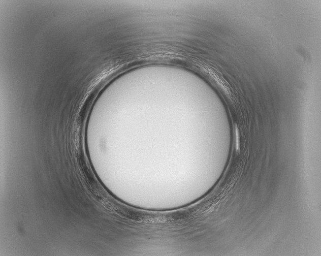X0000116330675200912011006