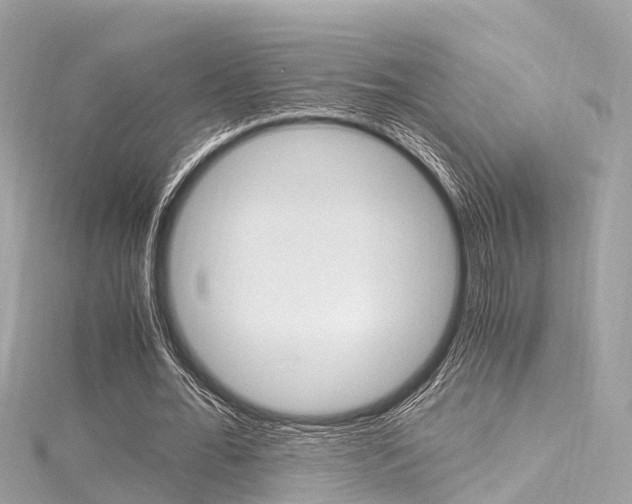 X0000116330676200912011006