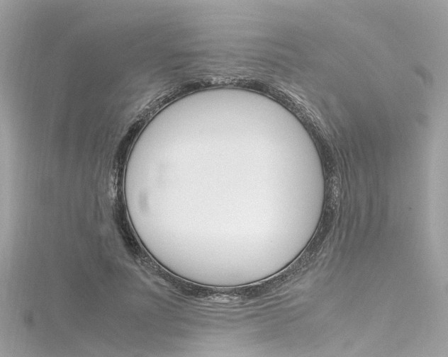 X0000116330691200912011005