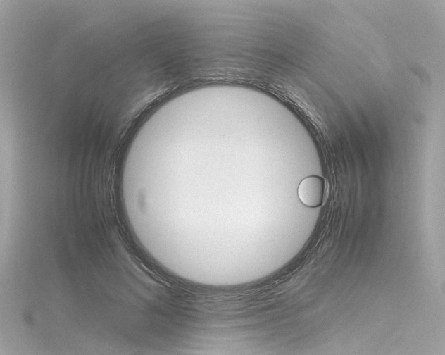 X0000116330692200912011005