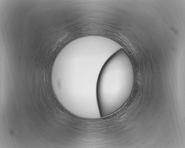 X0000116330697200912011005