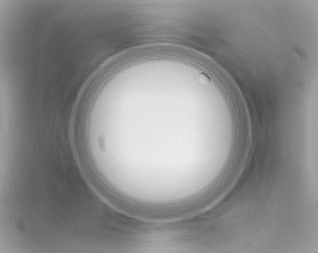 X0000116330701200912011005