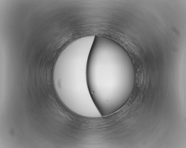 X0000116330704200912011005