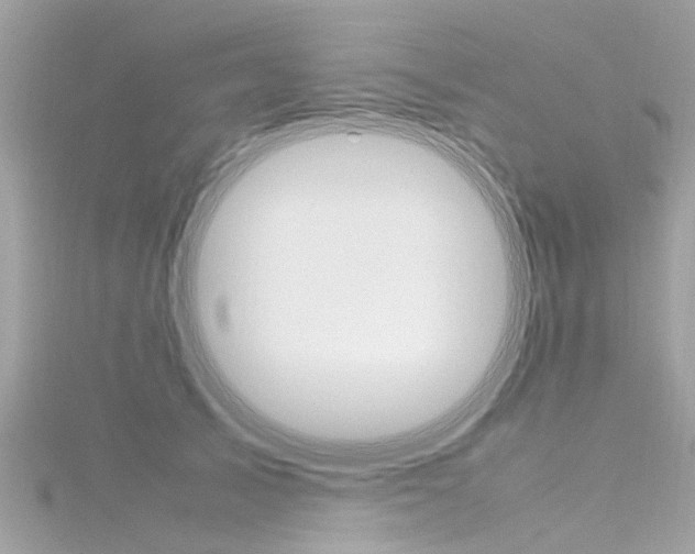 X0000116330705200912011005