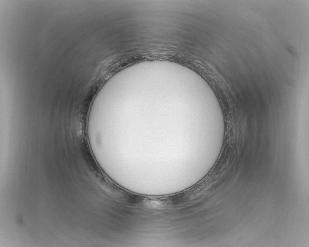 X0000116330706200912011005