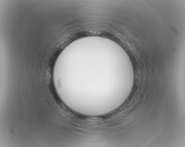 X0000116330707200912011005