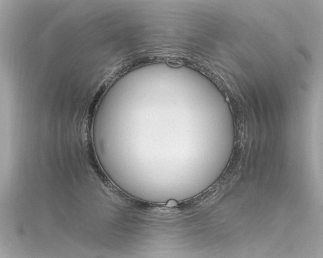 X0000116330708200912011005