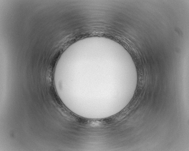 X0000116330710200912011005