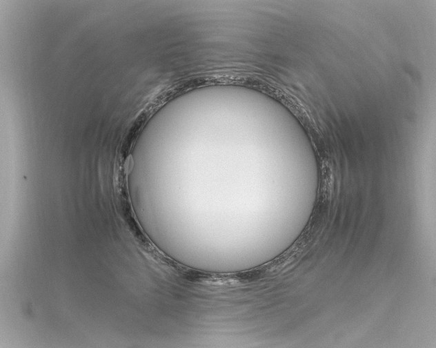 X0000116330712200912011005
