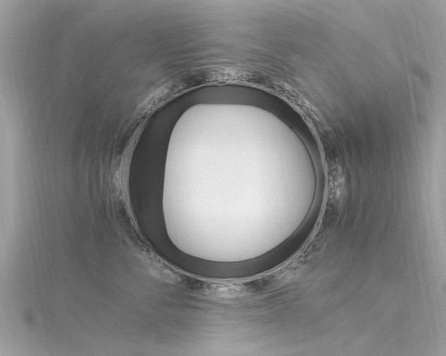 X0000116330716200912011005