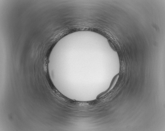 X0000116330719200912011005