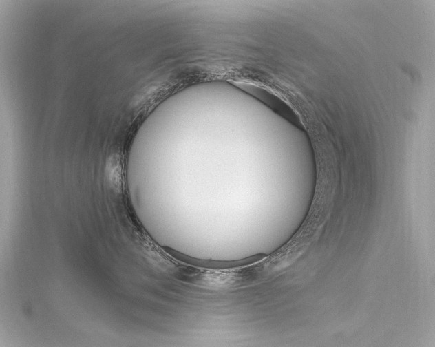 X0000116330720200912011005