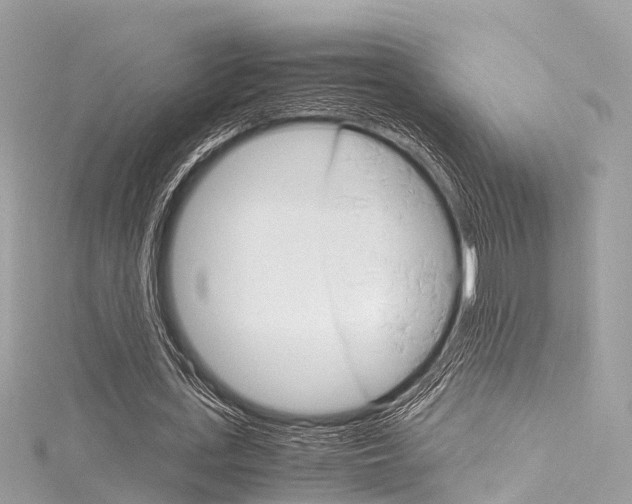 X0000116330723200912011004