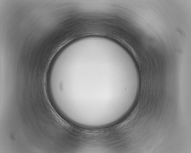 X0000116330725200912011004