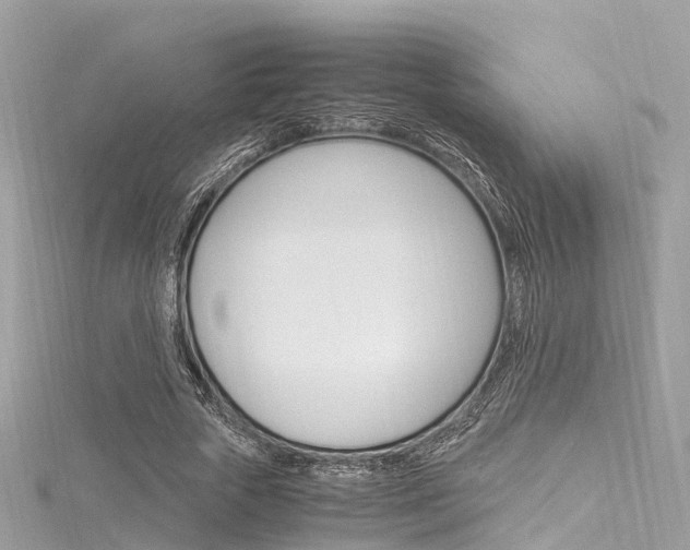 X0000116330729200912011004