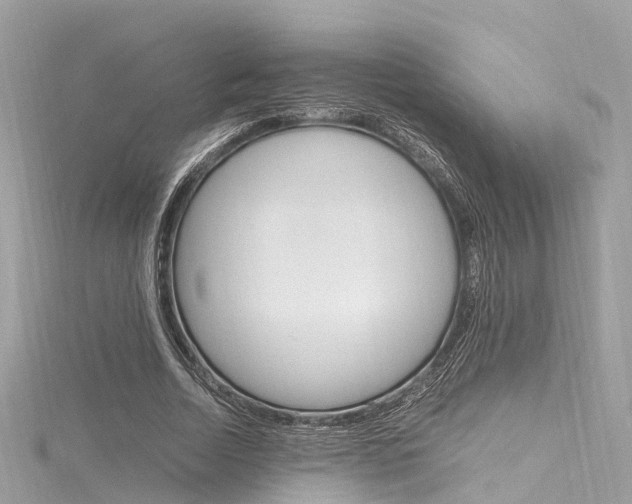 X0000116330730200912011005