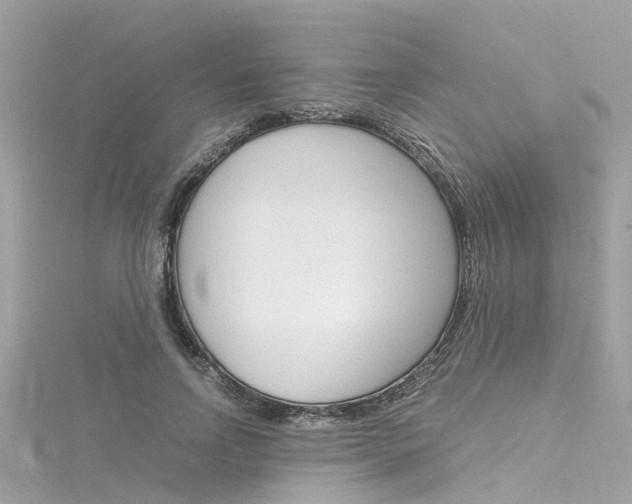 X0000116330742200912011005
