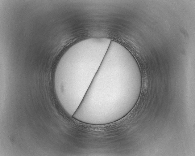 X0000116330743200912011005
