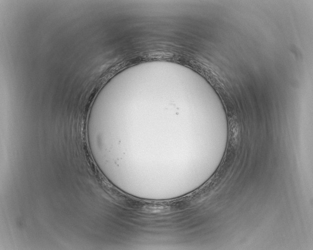 X0000116330745200912011005