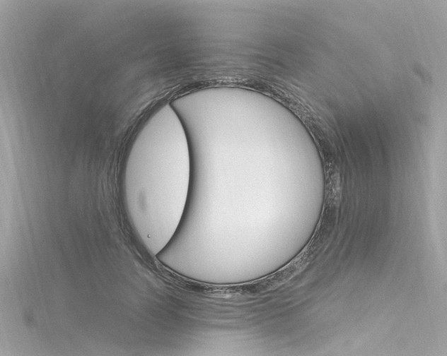 X0000116330746200912011005