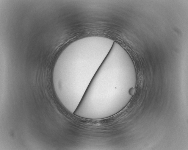 X0000116330747200912011005