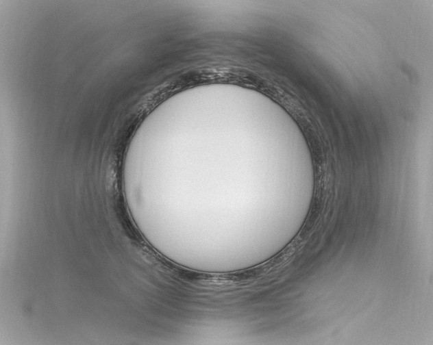 X0000116330754200912011005