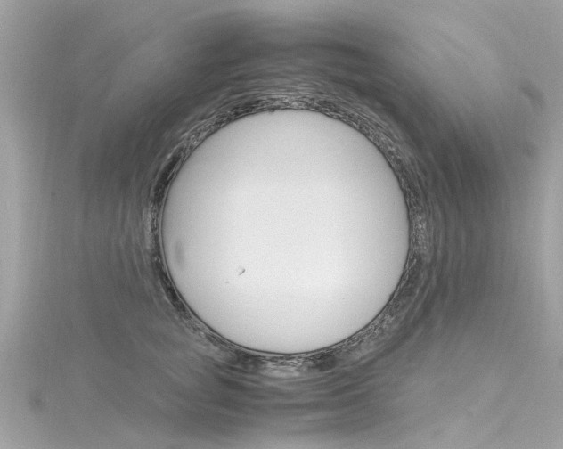 X0000116330757200912011005