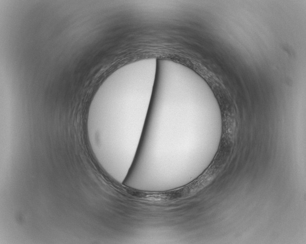 X0000116330758200912011005