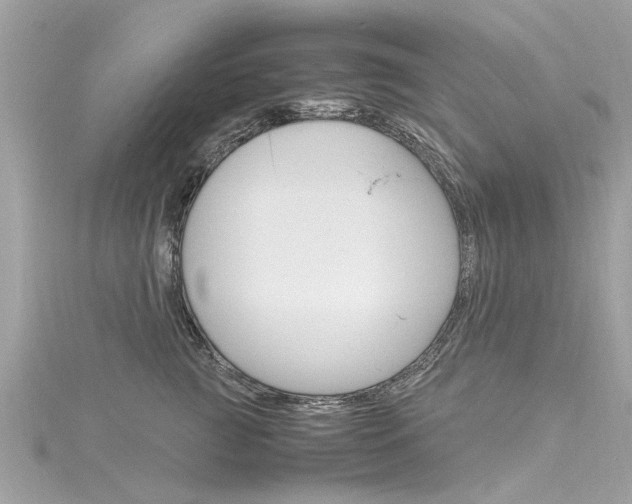 X0000116330761200912011005