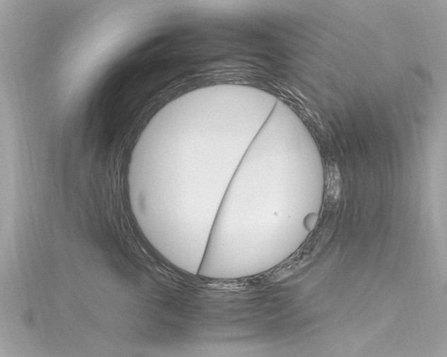 X0000116330763200912011005
