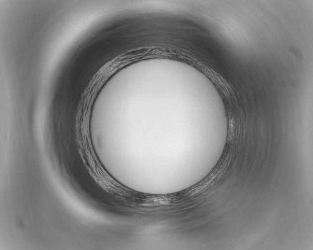 X0000116330765200912011005