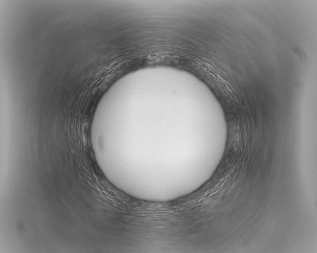 X0000116330770200912011004