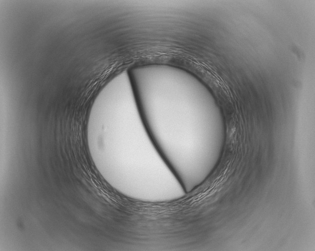 X0000116330772200912011004