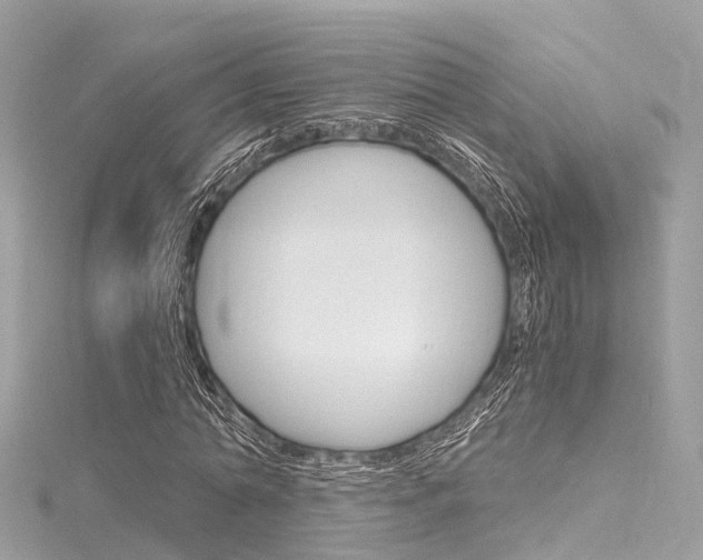 X0000116330774200912011004