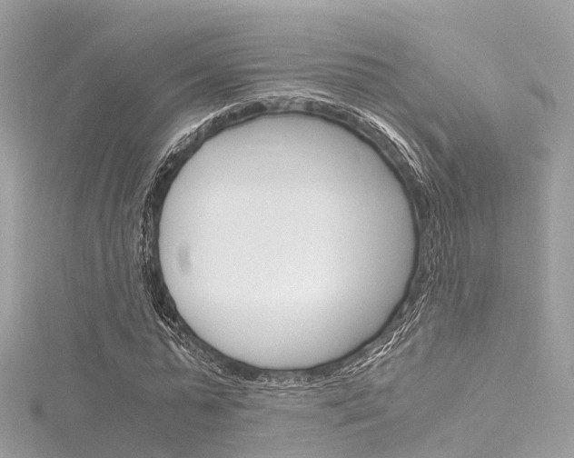 X0000116330775200912011004