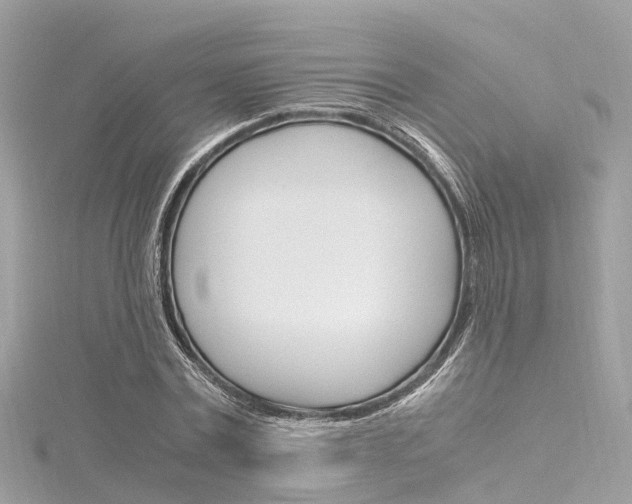X0000116330779200912011004