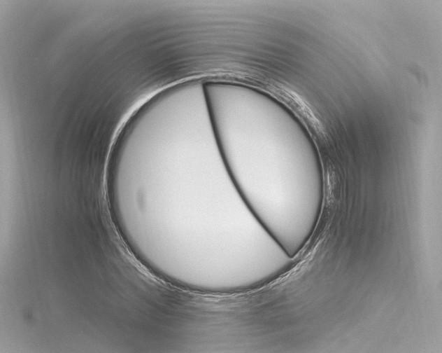 X0000116330780200912011004