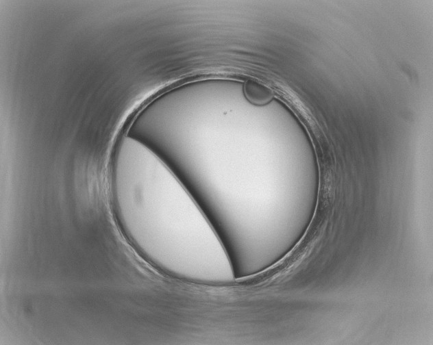 X0000116330787200912011004