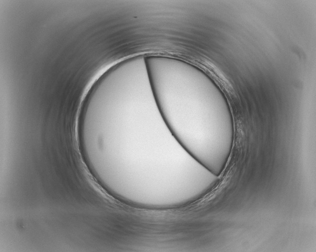 X0000116330788200912011004