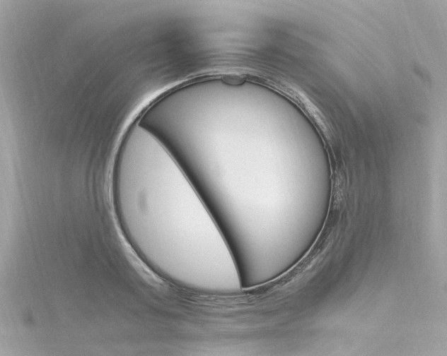 X0000116330795200912011004
