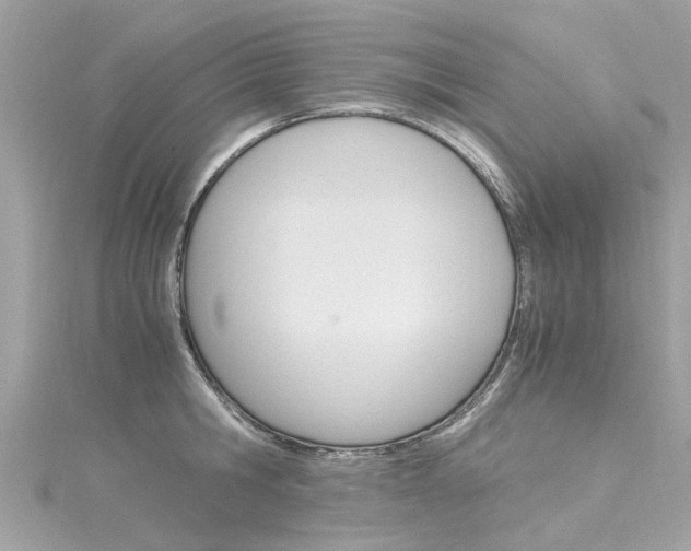 X0000116330806200912011004