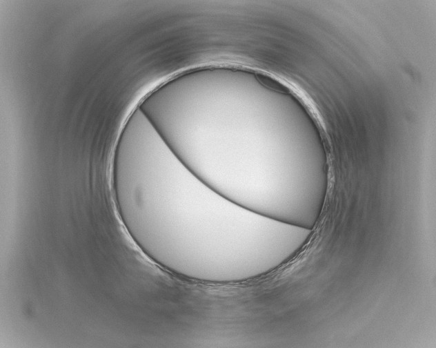 X0000116330815200912011004